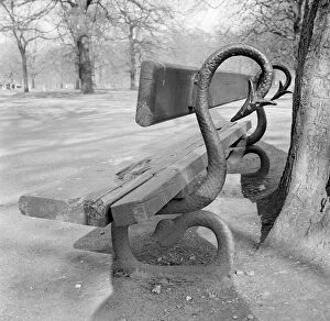 Images Dated 18th March 2011: Bench in Kensington Gardens a98_06267