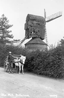 Horse Collection: Billericay Windmill, Essex a78_01556
