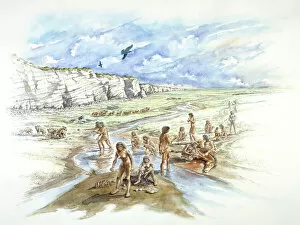 Prehistory Illustrations Collection: Boxgrove J940321