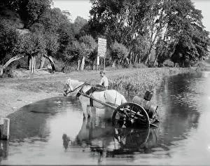 : Boy with Horse Drawn Water Cart, River Thames CC97_02430