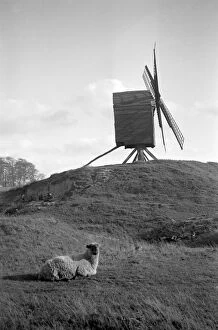 Windmills Collection: Brill Windmill, Buckinghamshire a81_02141