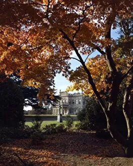 Autumn Collection: Brodsworth Hall K031192