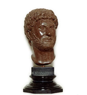 Bust Collection: Bust of Emperor Hadrian K000206