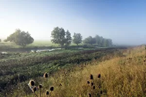 Rural Landscape Collection: Byall Fen DP219044