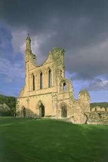 Images Dated 19th July 2005: Byland Abbey K981258