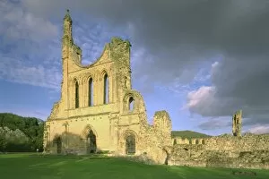 Images Dated 19th July 2005: Byland Abbey K981259