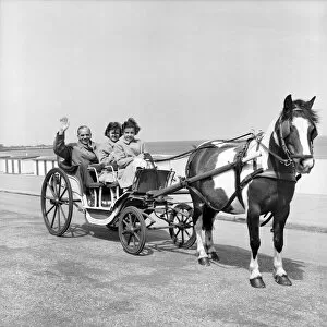 Animals: Horses Collection: Cart ride JLP01_08_046458