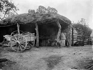 Agriculture Collection: Cart shed MCF01_02_0189