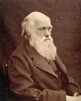 The 1890s Collection: Charles Darwin K970215