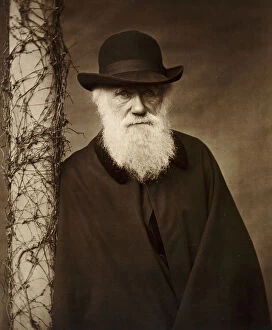 Images Dated 4th August 2005: Charles Darwin K980123