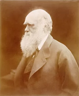 Images Dated 5th February 2008: Charles Darwin K980352