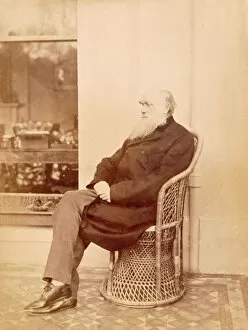 The 1880s Collection: Charles Darwin on the verandah at Down House K970226