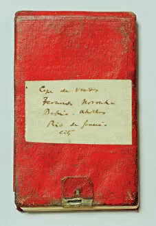 Darwin Collection: Charles Darwins notebook N020033