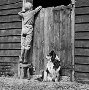 Door Collection: Child and dog a075816