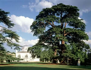 Chiswick House gardens Collection: Chiswick House J970253