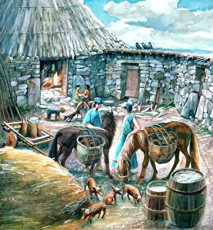 Livestock Collection: Chysauster Ancient Village J890149