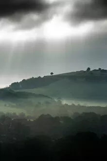 Images Dated 21st September 2010: Cissbury Ring DP147648