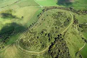 Aerial View Prints: Cissbury Ring Hillfort 35555_003