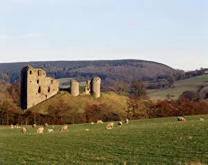 Field Collection: Clun Castle K060184