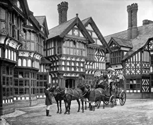 Animal Collection: Coach outside Bidston Court BL12855_C
