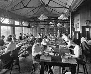 People Collection: Comptometer Room, Stratford Cooperative Society 1914 BL22762