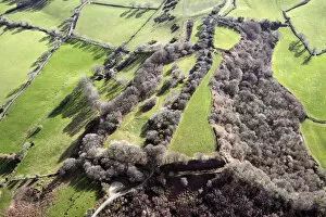 Hillfort Collection: Coneys Castle 33790_032