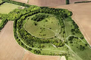 Hillfort Collection: Danebury Hill 33960_002
