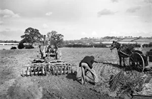 Farming Collection: Disc harrowing, Lincolnshire a98_09683