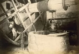 The 1890s Collection: Donkey in the Well House, Carisbrooke Castle OP06136