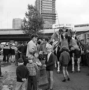 Westway Flyover Collection: Dray horses JLP01_08_086067g
