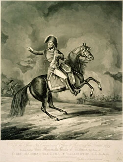 Wellington Collection: Duke of Wellington at the Battle of Waterloo J050174