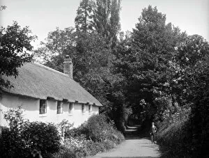 Thatch Collection: Dunster cottages BB53_00627