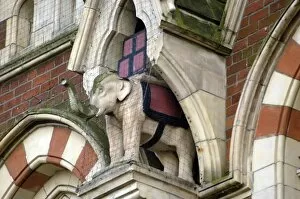 Elephants in England Collection: Elephant in niche DP033963