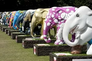 Elephants in England Collection: Elephant Parade DP094957