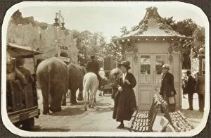 British Empire Exhibition 1924 Collection: Elephant parade RJW01_01_089
