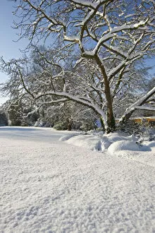 Images Dated 14th January 2022: Eltham snowscapes DP073273