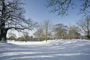Xmas Collection: Eltham snowscapes DP073324