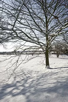Images Dated 14th January 2022: Eltham snowscapes DP073325