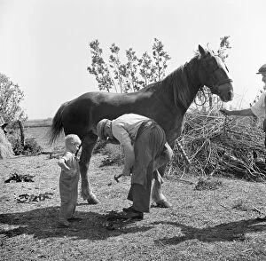 Child Hood Collection: Farrier, Cambridgeshire a98_10862