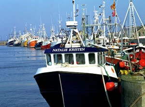 Fishing Collection: Fishing boats in Amble Harbour K011713