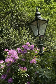 English Gardens Collection: Flower lantern DP053975