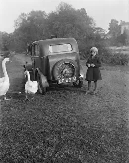 Water Fowl Collection: Girl, car and swans EGP_22663_009