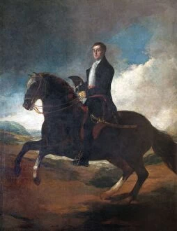 Wellington Collection: Goya - Equestrian portrait of the Duke of Wellington N070532