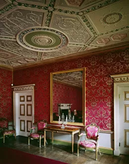 Wall Paper Collection: Great Drawing Room, Audley End House J960205