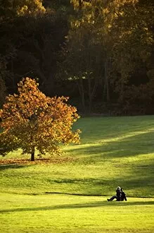 Visitor Collection: The grounds at Kenwood House N071383
