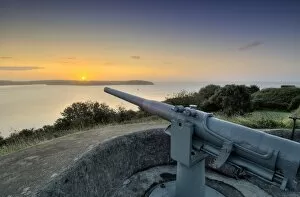 Cannon Collection: Gun at Pendennis Castle N080441