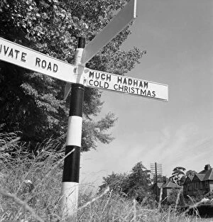 Signage Collection: Much Hadham, Cold Christmas a091398