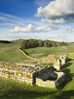 Copse Collection: Hadrians Wall: Housesteads Fort N071086