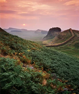 Images Dated 16th February 2010: Hadrians Wall J060249