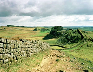 Moor Land Collection: Hadrians Wall J910099